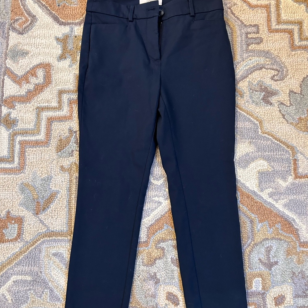 LOFT Navy Sutton Skinny Pants